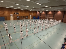 img 0576